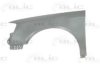 VW 3C0821021 Wing